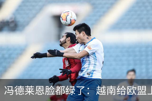 冯德莱恩脸都绿了：越南给欧盟上了一课：什么叫 “中国力量”！
