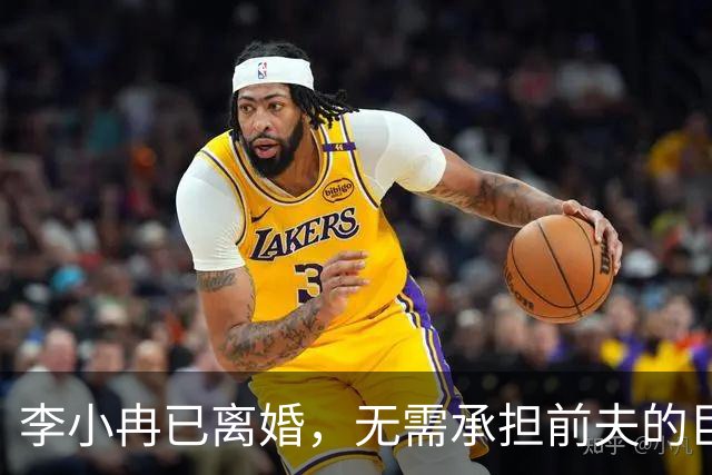 李小冉已离婚，无需承担前夫的巨额债务，法律边界清晰，提前布局守住了自身权益